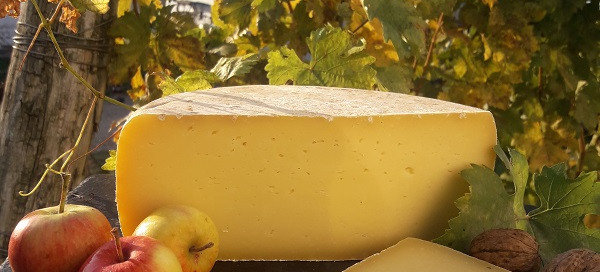 Käse 1600x800